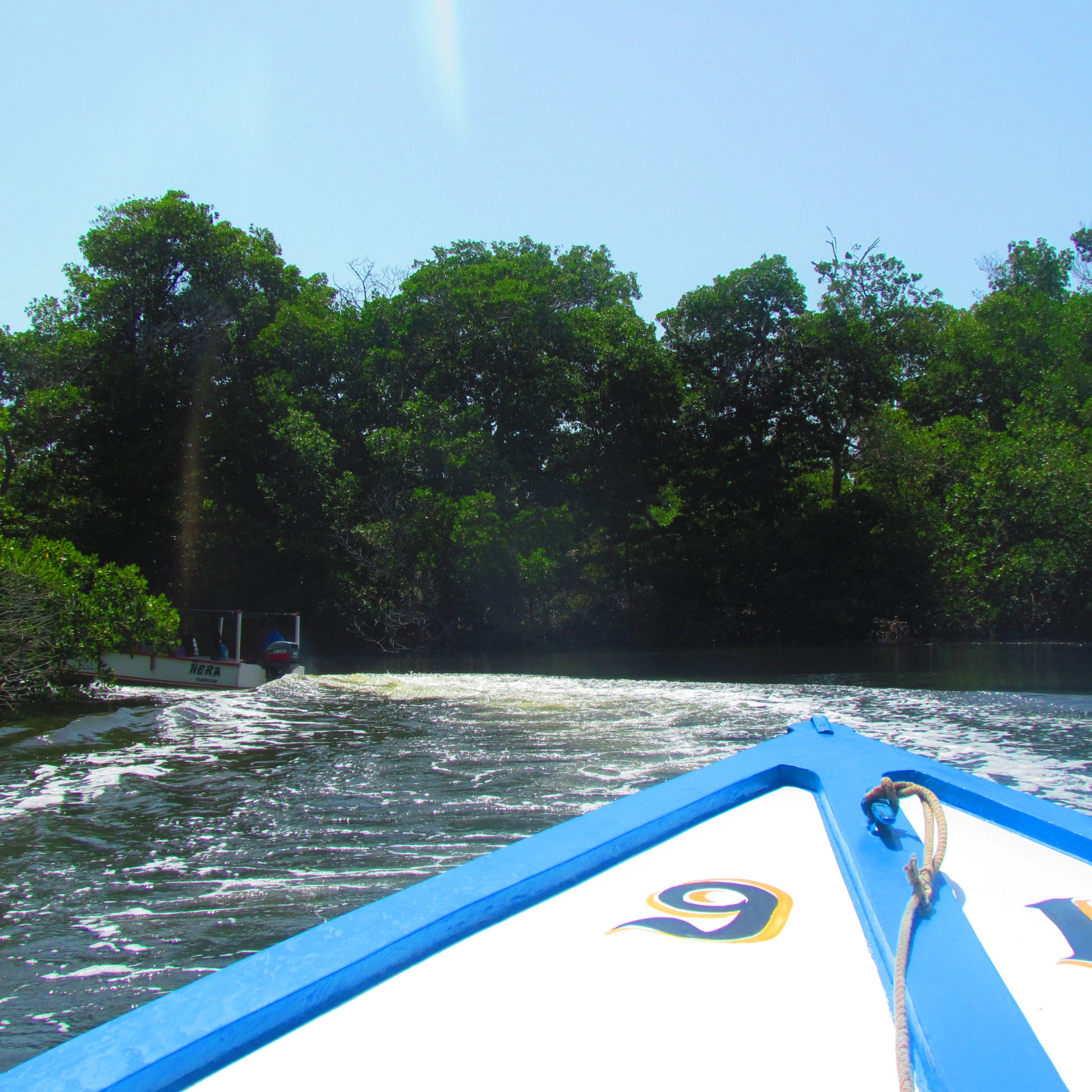 La Restinga A Donde Alirio Online