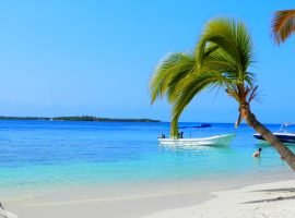 Morrocoy