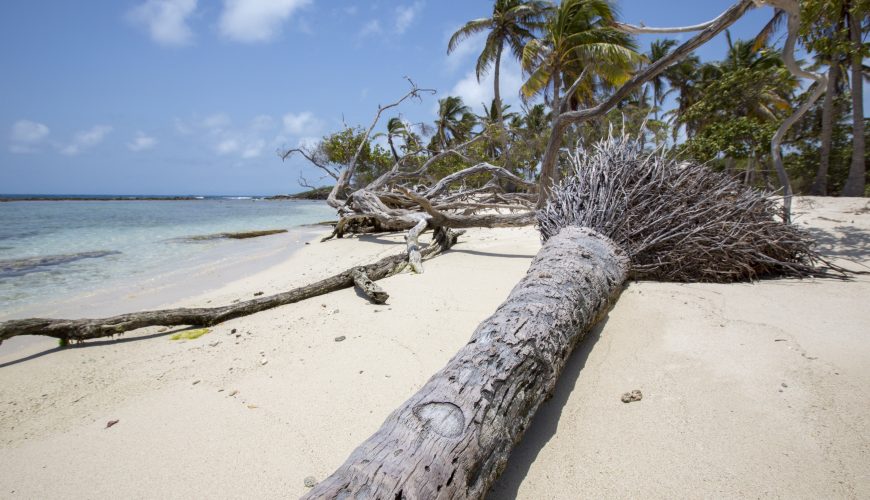 Parque Nacional Morrocoy