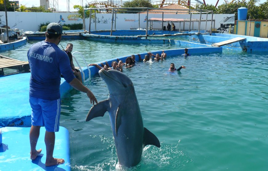 Waterland Mundo Marino