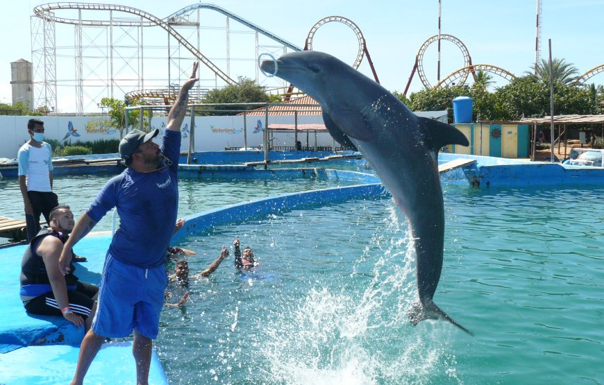 Waterland Mundo Marino