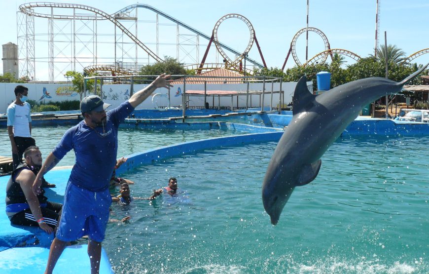 Waterland Mundo Marino