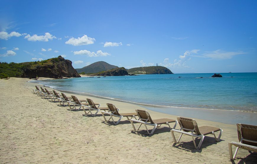 Hesperia  Isla Margarita