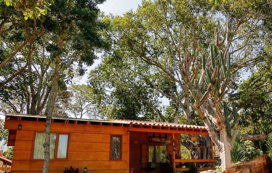 Glamping La Cepa  3Días y 2Noches